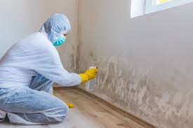 Best Environmental Consulting for Mold Prevention in Millen, GA